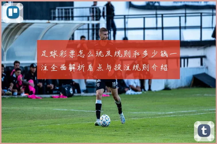 足球彩票怎么玩及规则和多少钱一注全面解析看点与投注规则介绍